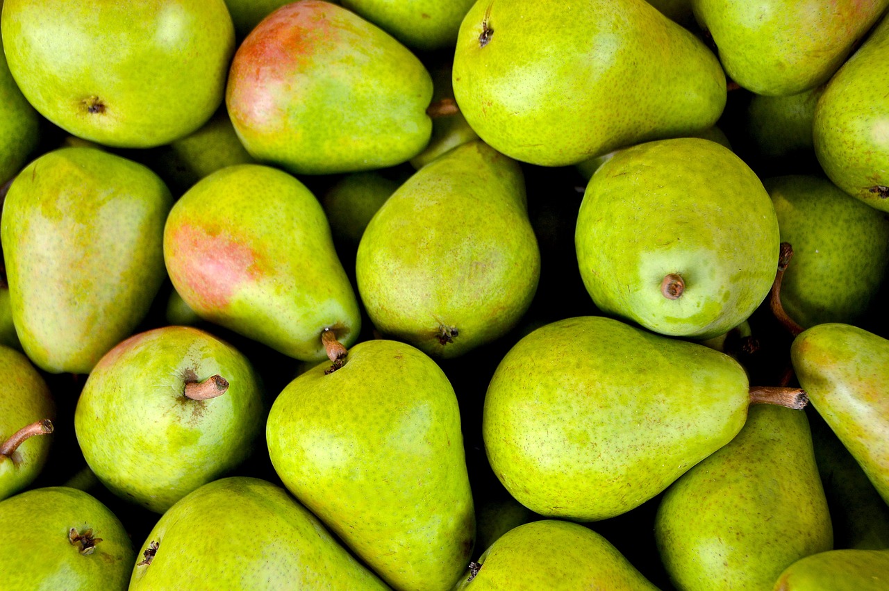 Внедрение программы «1C:Бухгалтерия 8 для Казахстана» в ИП «FRUITZONE»